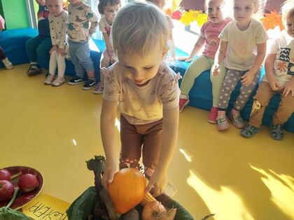 7b729ed5 754c 4e9d 9ce3 0625987a351c