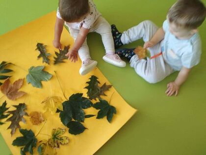 22ae81fd a4ac 4487 97e6 71fd3f726f73