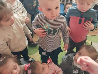 92541DC1 EFD0 405E A695 B5B10471A30C