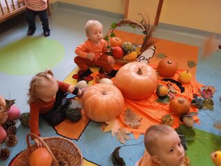 img 20231027 101007 1