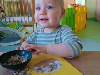 img 20240130 095225 1