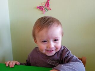 img 20240227 104245 2