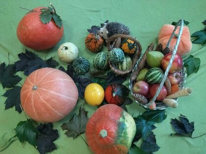 messenger creation 2f7b8e34 06ce 4d32 850b fdbe6af9db2d