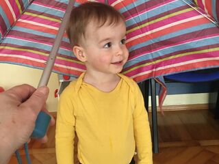 BFCFED78 8E7A 48D0 8DC3 BA632D7E4273