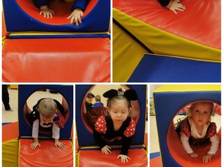 Collage 20240129 124709