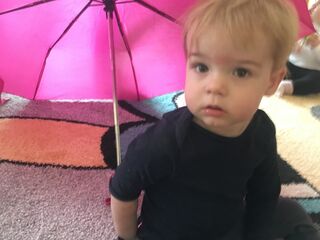 E7986D9D 9C01 4A1E B7E6 88052D8FF1A0