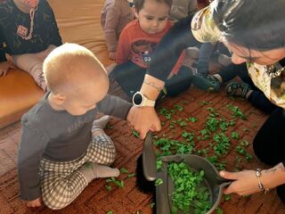 received 249641297965212.jpeg