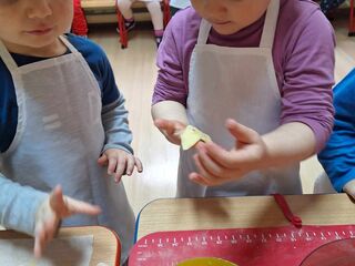 received 258736210503227