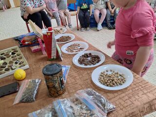 Messenger creation 511f0196 734f 45f4 b16f 83f4ee20a7df