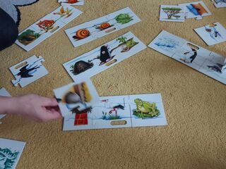 received 1137033607736588