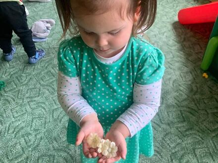 334875211 977835013202218 4865773803606735512 n