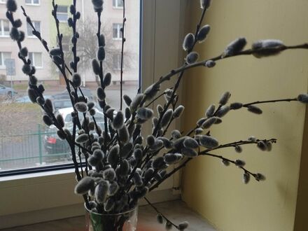 received 1186380838709902.jpeg