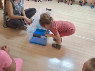 Messenger creation 0e50f452 886e 4494 8f6d 14678b7356a0