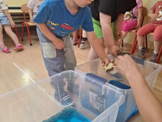 Messenger creation 0e5abf4e 3cf2 4882 93b7 30d03eac6878