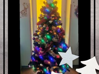 39b8e33f ab2f 42c3 b7bd a7ad7e9254d6 1701873714133