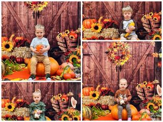 Collage 20231031 144251