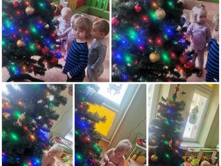 Collage 20231206 153729