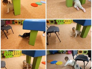 Collage 20231220 194532