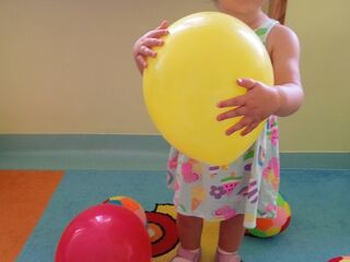 img 20240529 092030 1