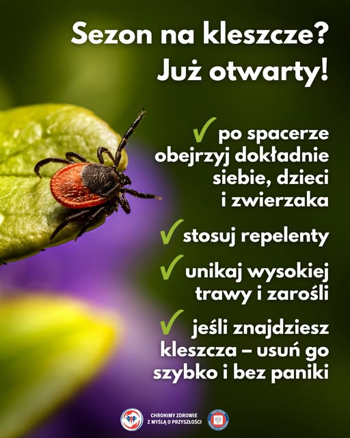 Kleszcz info